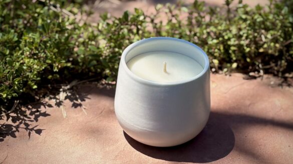 alabaster-organic-candle-outside-with-greenery Organic candle in white ceramic vessel on red flagstone with greenery in the background.