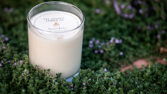 classic-organic-candle-outside-with-greenery Organic candle in clear glass vessel outside surrounded by greenery.
